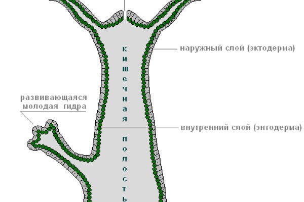 Ссылки мега кракен