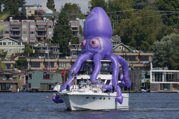 Kraken tor зеркало