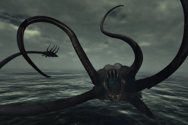 Kraken рынок