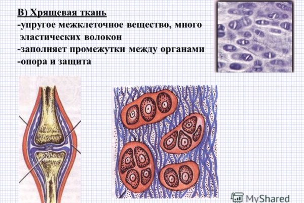 Кракен торговая площадка даркнет